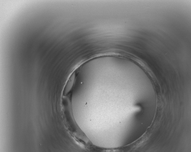 X0000066940858200604142022