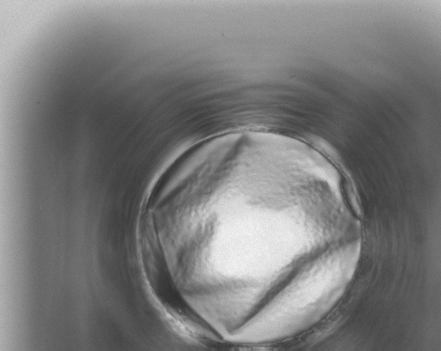 X0000066940859200604142022