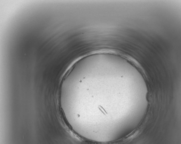 X0000066940860200604142022