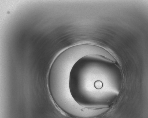 X0000066940862200604142022