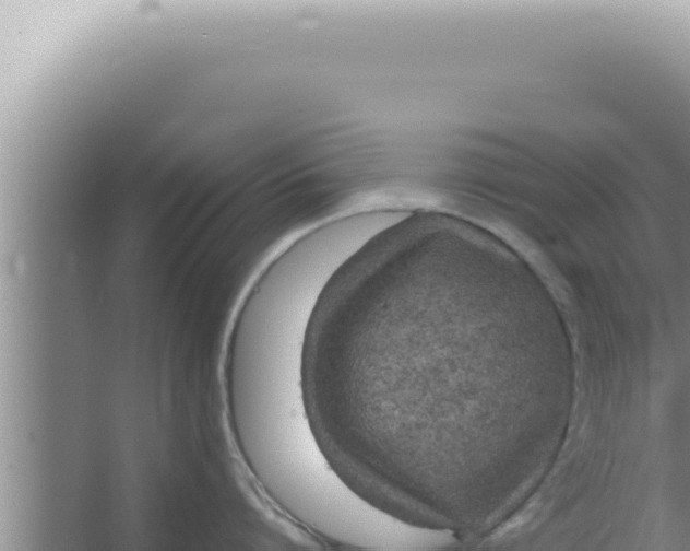 X0000066940864200604142022