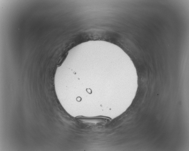 X0000066940865200604142021