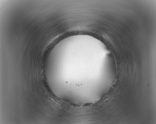 X0000066940872200604142021