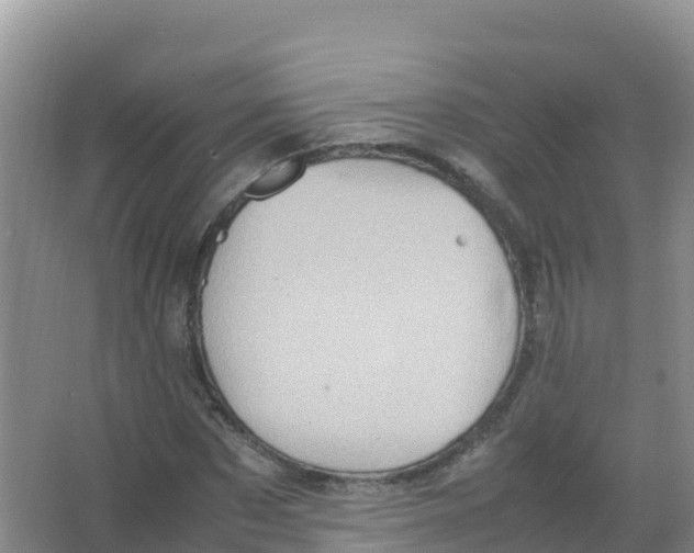 X0000066940873200604142021