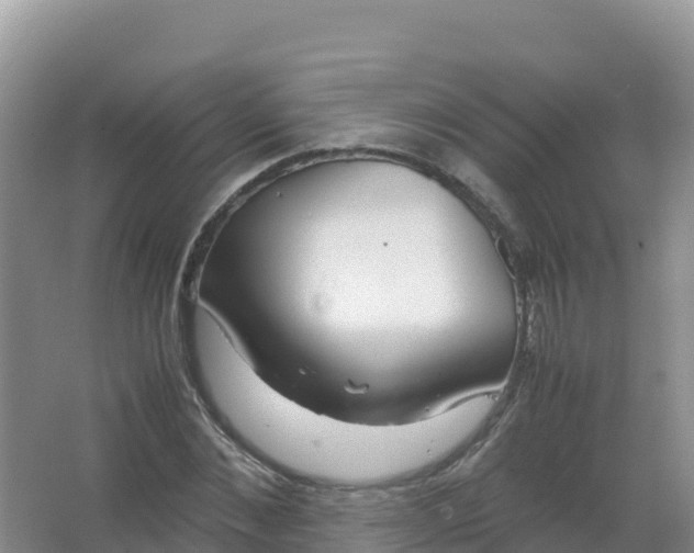 X0000066940876200604142021