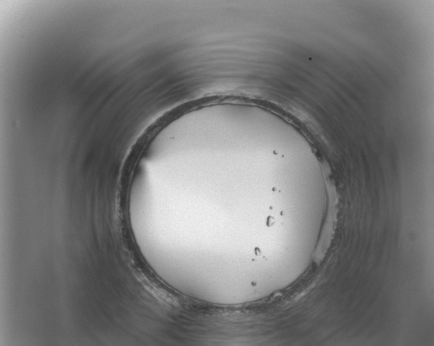 X0000066940880200604142021