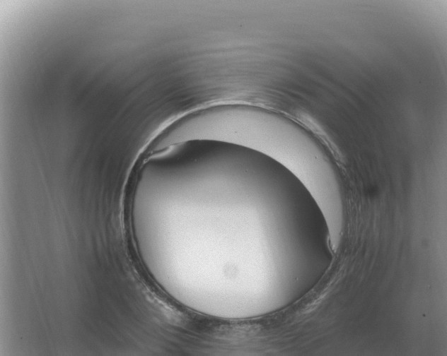 X0000066940884200604142021