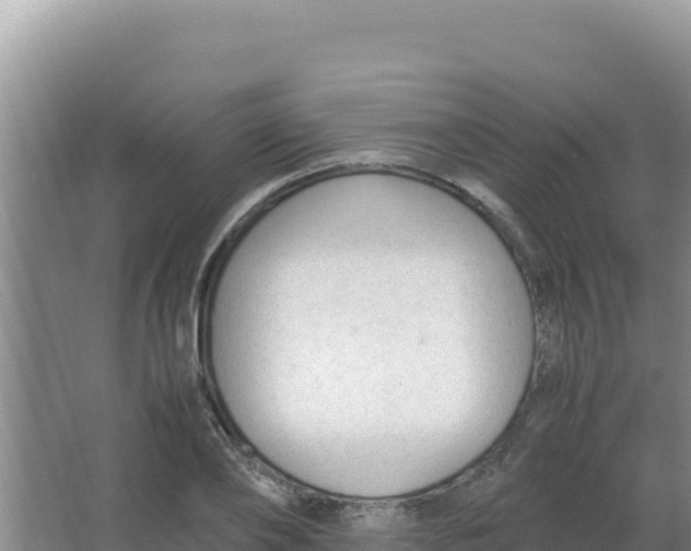 X0000066940886200604142021