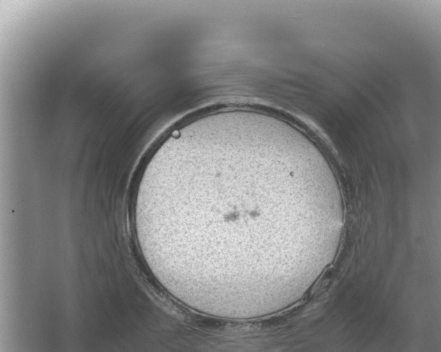 X0000066940887200604142021