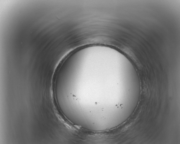 X0000066940888200604142021