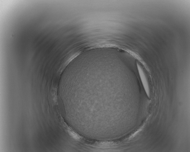 X0000066940889200604142021