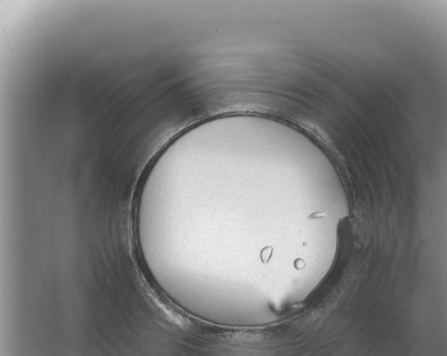 X0000066940890200604142021