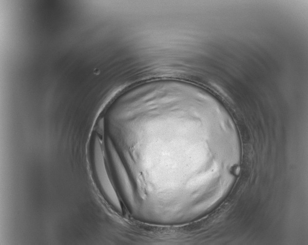 X0000066940891200604142021