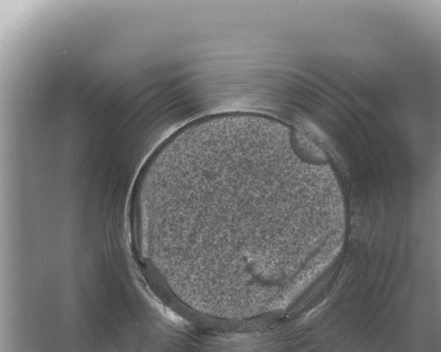 X0000066940892200604142020