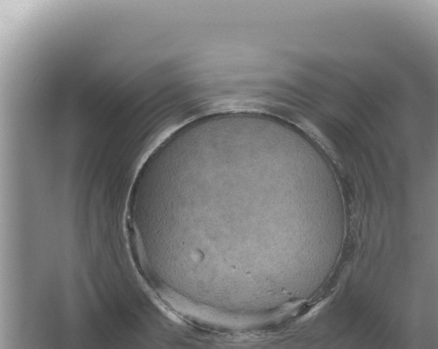 X0000066940893200604142020