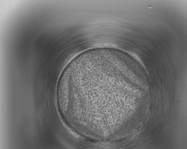 X0000066940895200604142020