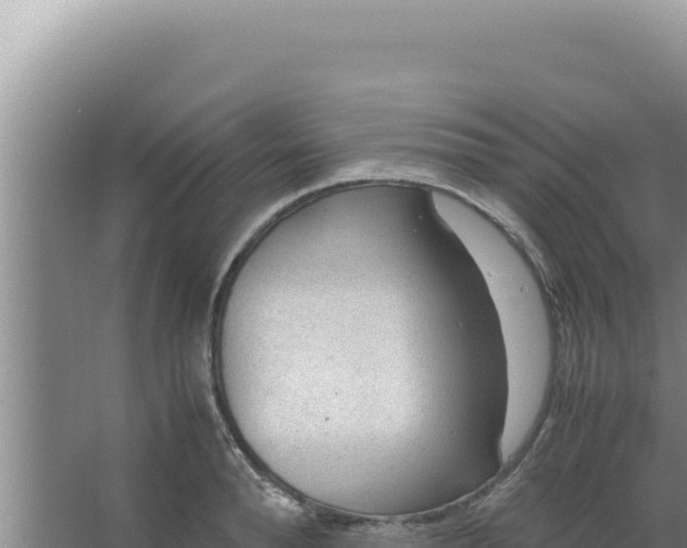 X0000066940896200604142020