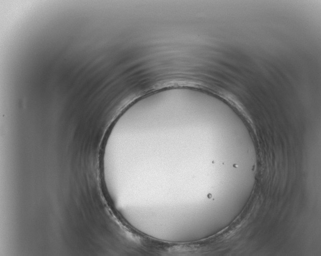 X0000066940898200604142020