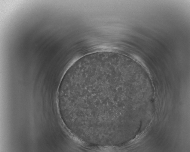 X0000066940899200604142020