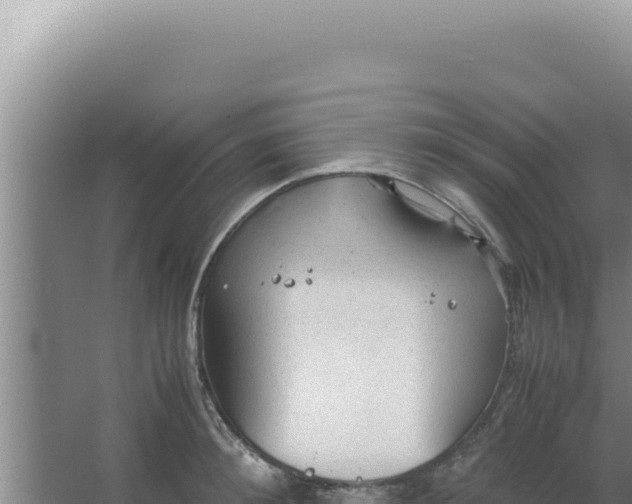 X0000066940900200604142020