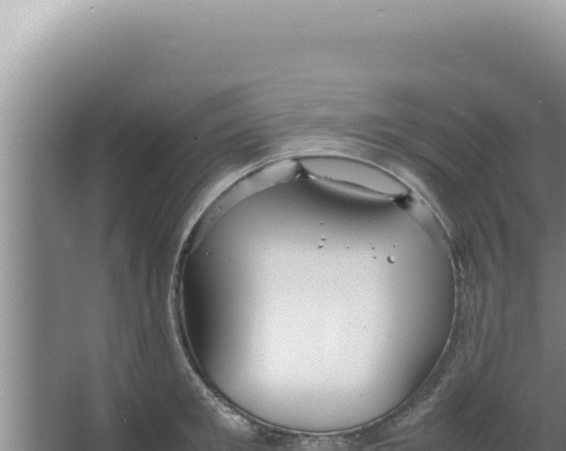 X0000066940901200604142020