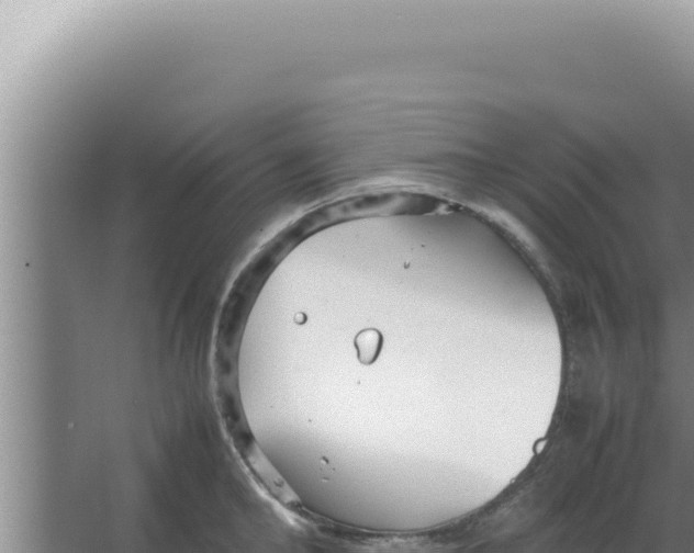 X0000066940902200604142020