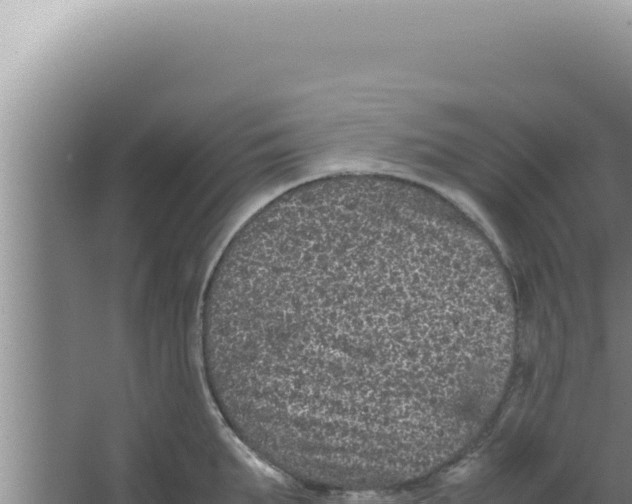 X0000066940903200604142020