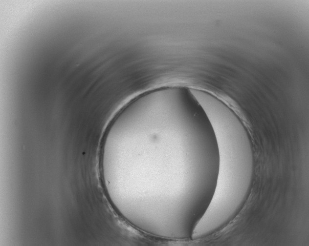 X0000066940904200604142020