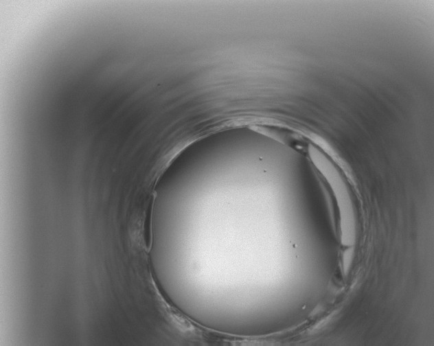 X0000066940905200604142020