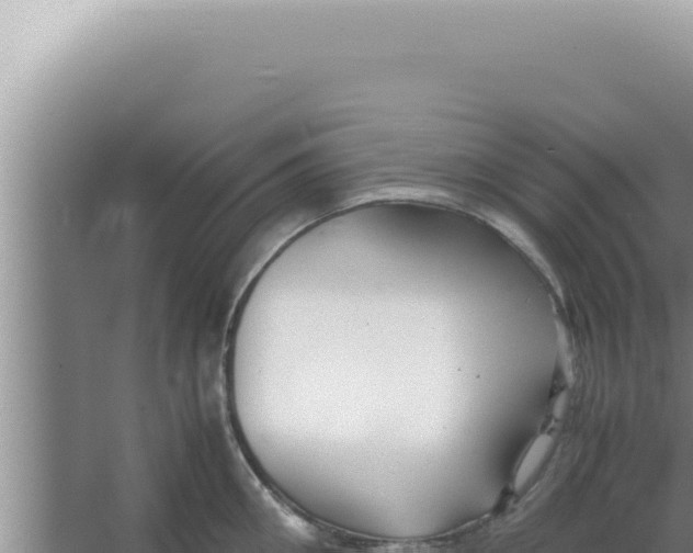 X0000066940906200604142020