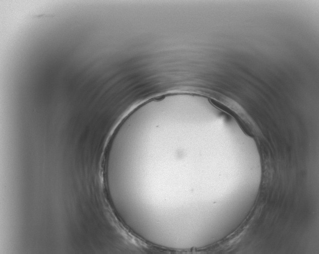 X0000066940908200604142020