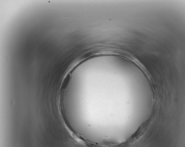 X0000066940909200604142020