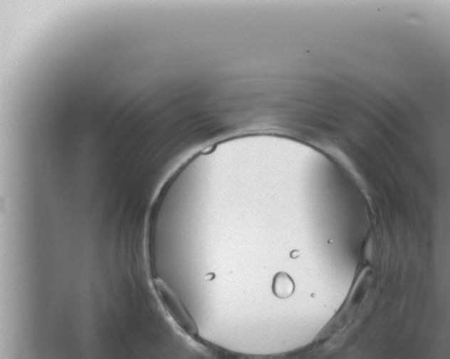 X0000066940910200604142020