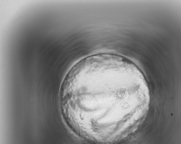 X0000066940911200604142020