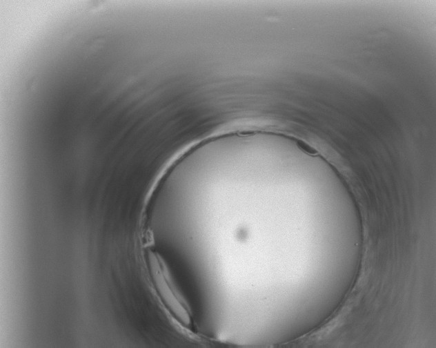 X0000066940912200604142020