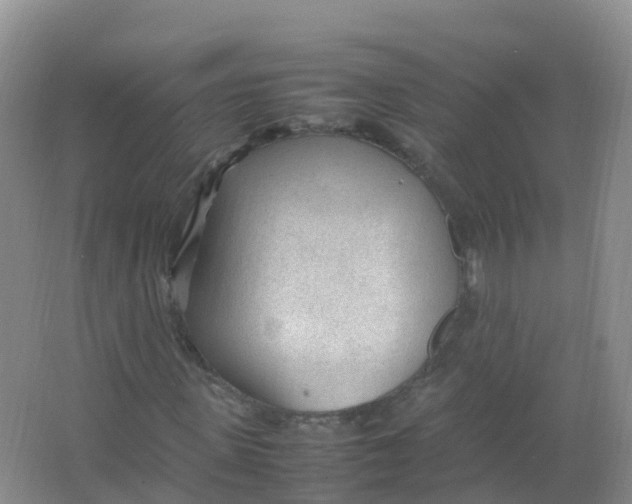 X0000066940915200604142019