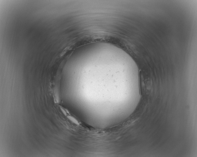 X0000066940916200604142019