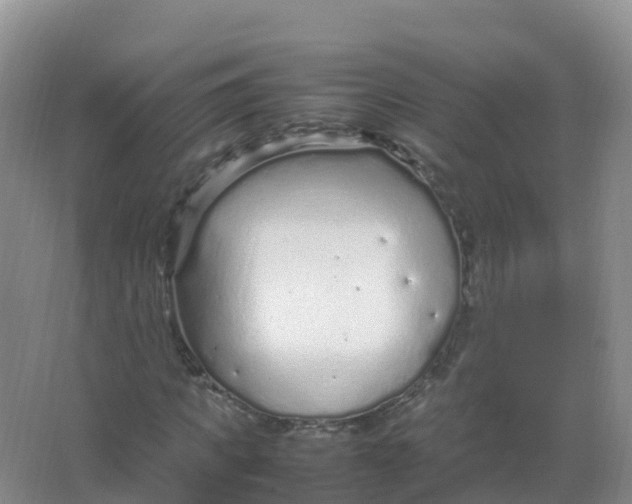 X0000066940917200604142019