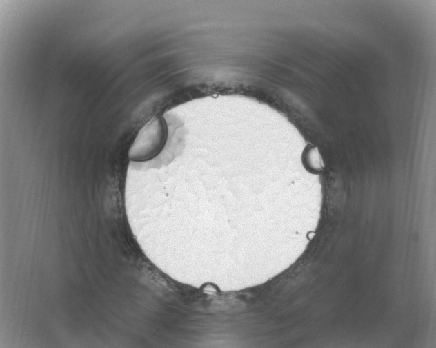 X0000066940918200604142019