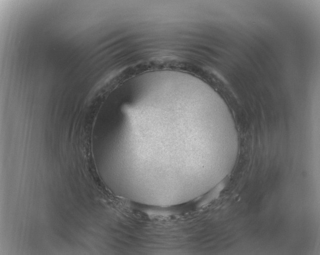 X0000066940919200604142019