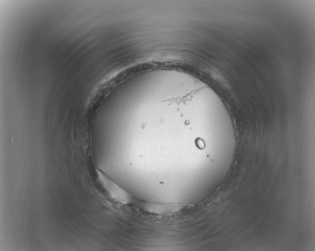 X0000066940920200604142019