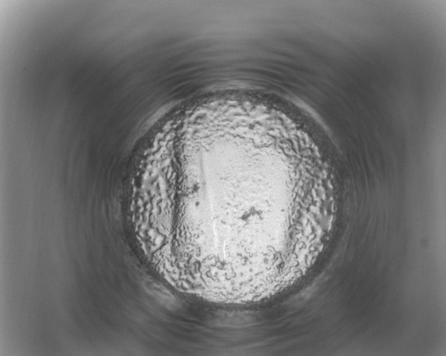 X0000066940921200604142019