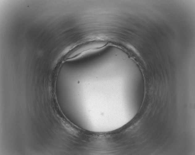 X0000066940922200604142019