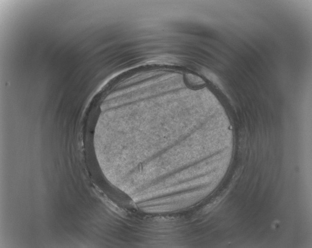 X0000066940923200604142020