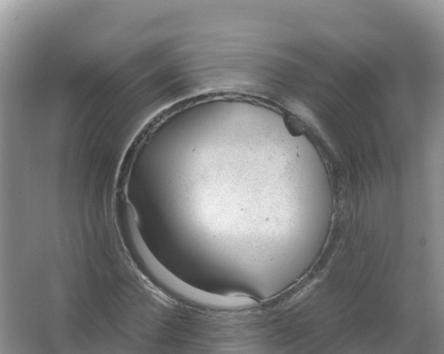 X0000066940924200604142020