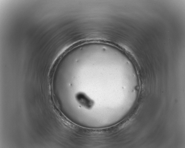 X0000066940925200604142020