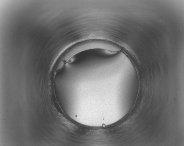 X0000066940926200604142020