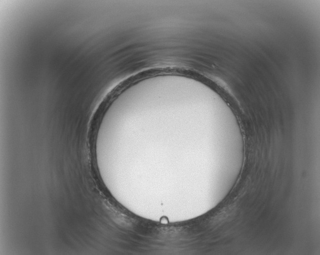 X0000066940927200604142020