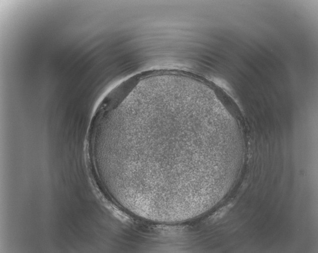 X0000066940928200604142020