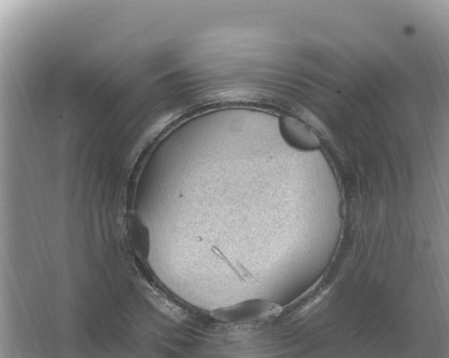 X0000066940930200604142020